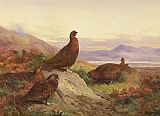 Archibald Thorburn Canvas Paintings - The Morning Call